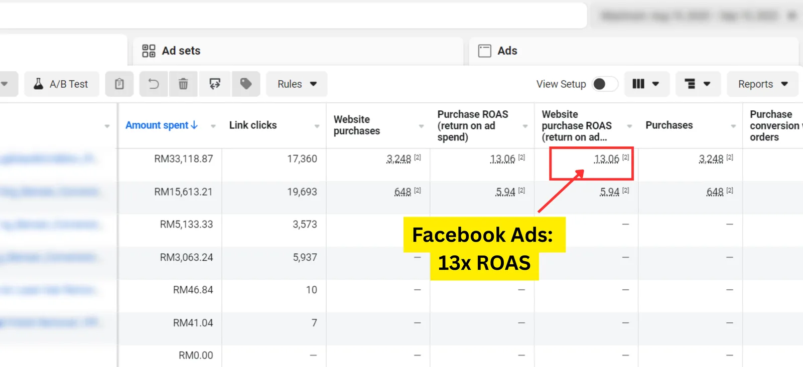 Facebook / Meta result for a Seed Light client: Meta Ads performance