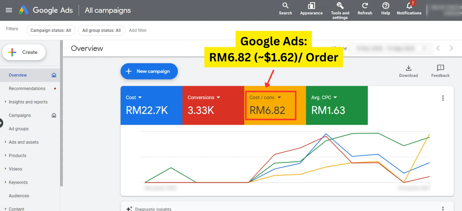 Google Ads result for a Seed Light client: Google Ads performance