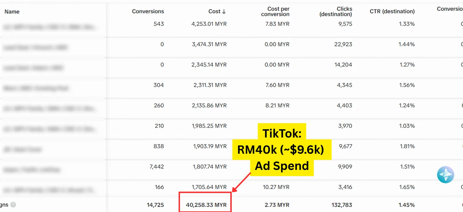 TikTok result for a Seed Light client: TikTok Ads performance