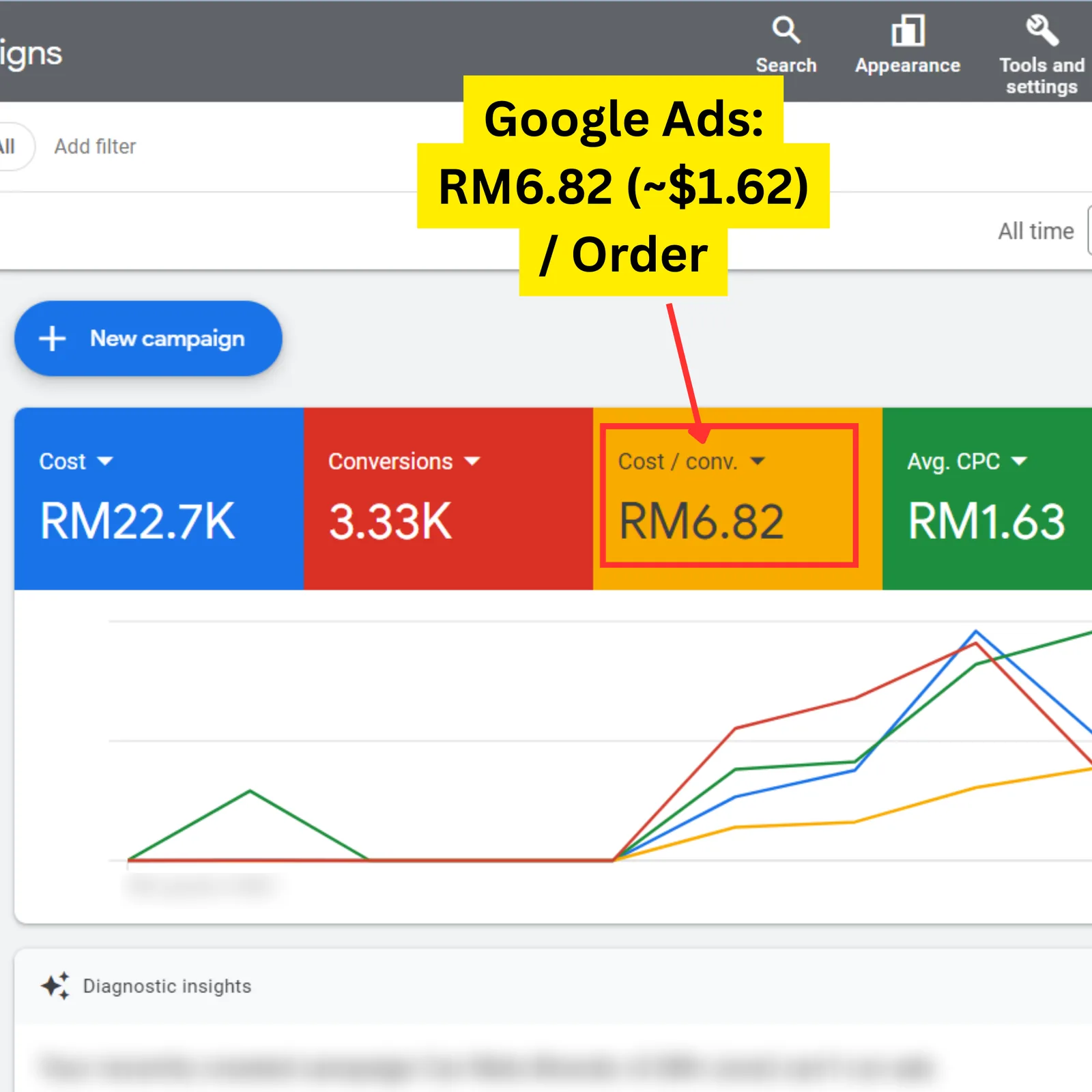 Google Ads result for a Seed Light client: Google Ads performance