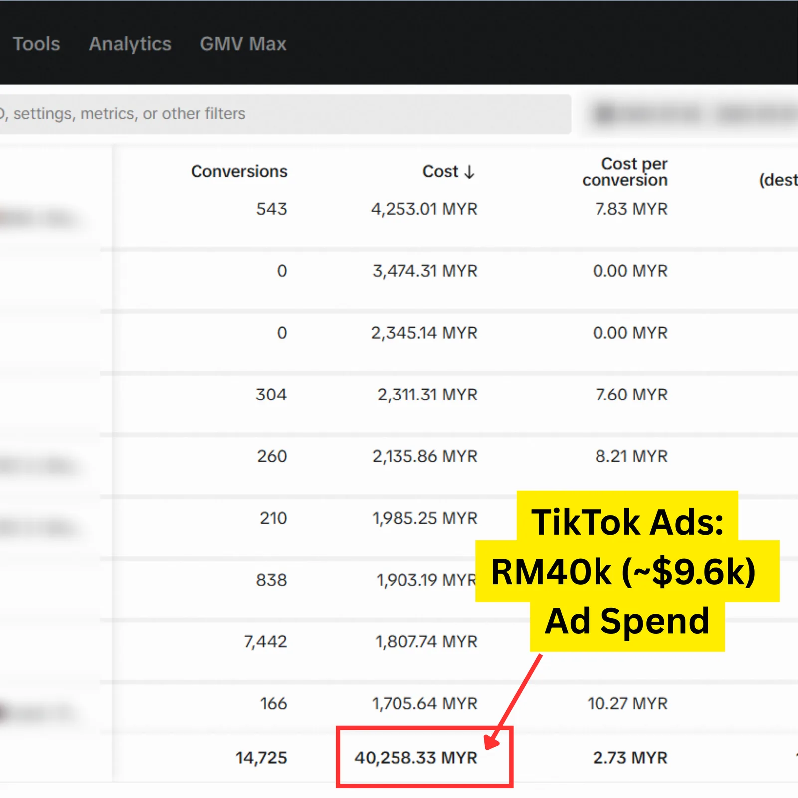 TikTok result for a Seed Light client: TikTok Ads performance