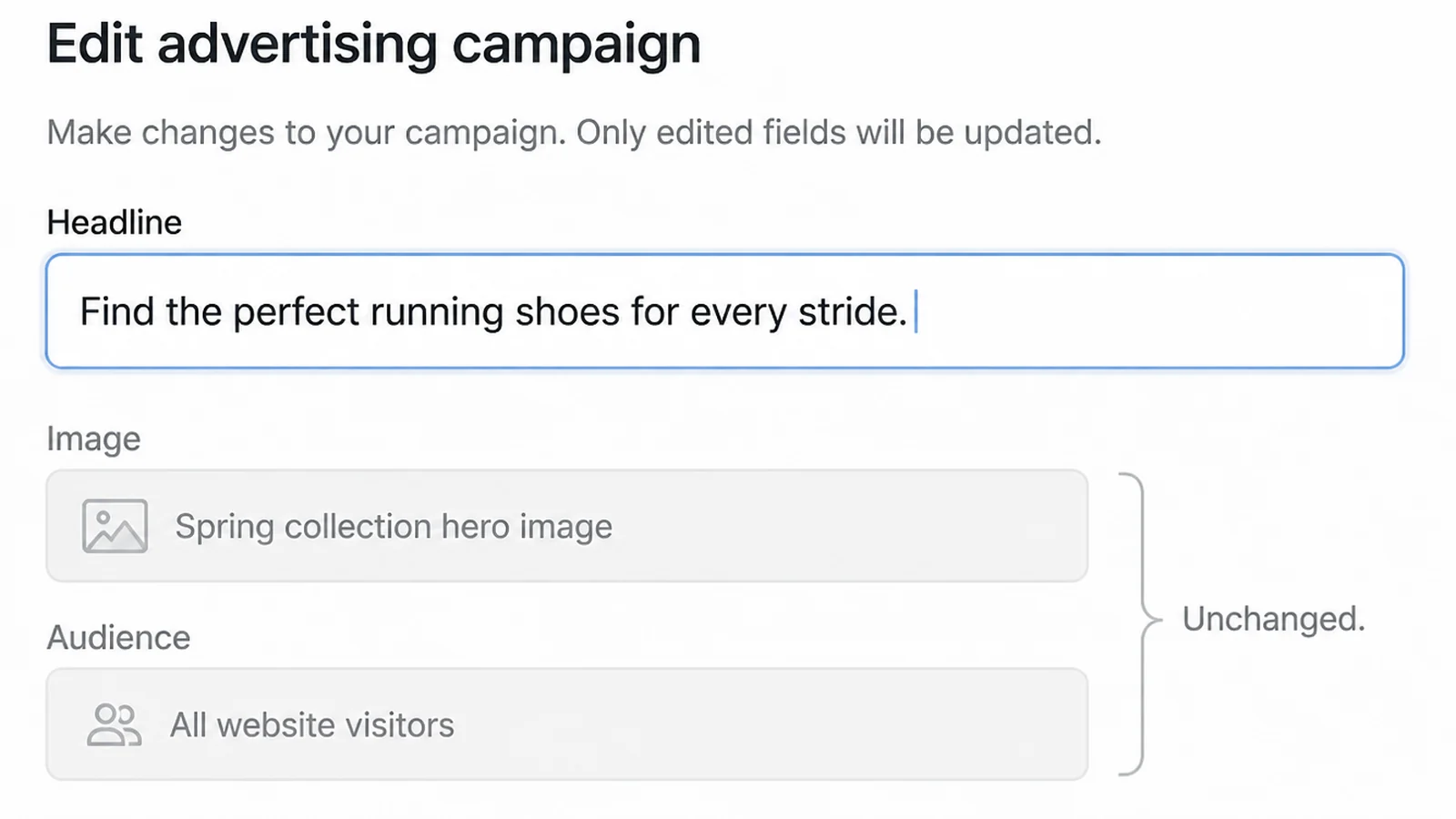 A campaign editor with the Headline field being edited and the Image and Audience fields greyed out and marked Unchanged