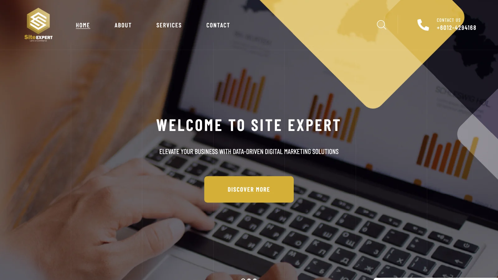 Screenshot of the Site Expert home page reading Welcome to Site Expert above a line about data driven digital marketing solutions