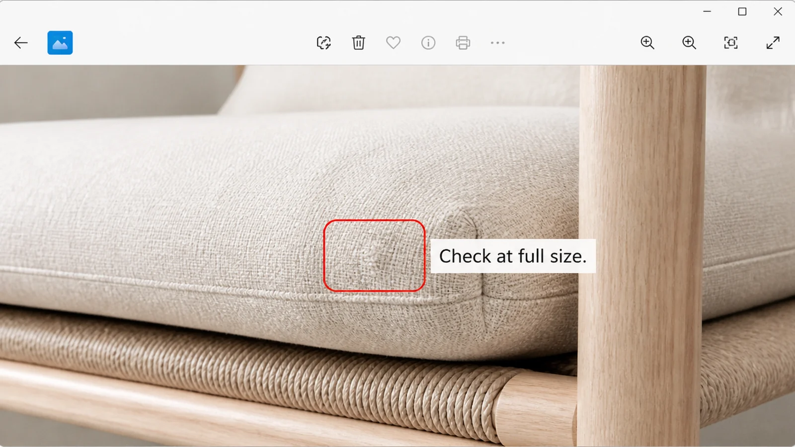 An image viewer zoomed to full size with a red outline around a small area and a label reading Check at full size