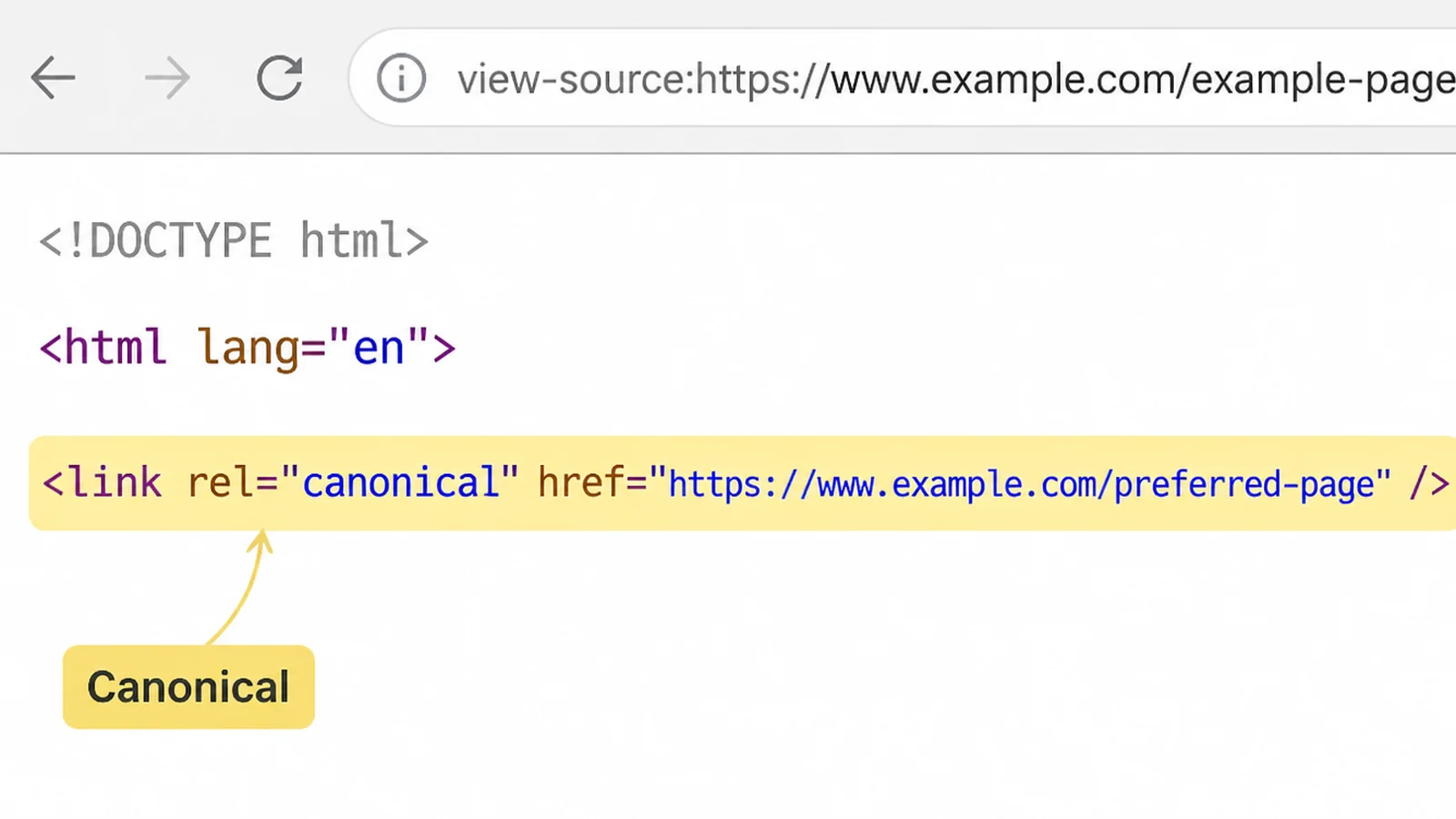 A browser page source panel with one canonical link tag highlighted in yellow and labelled Canonical