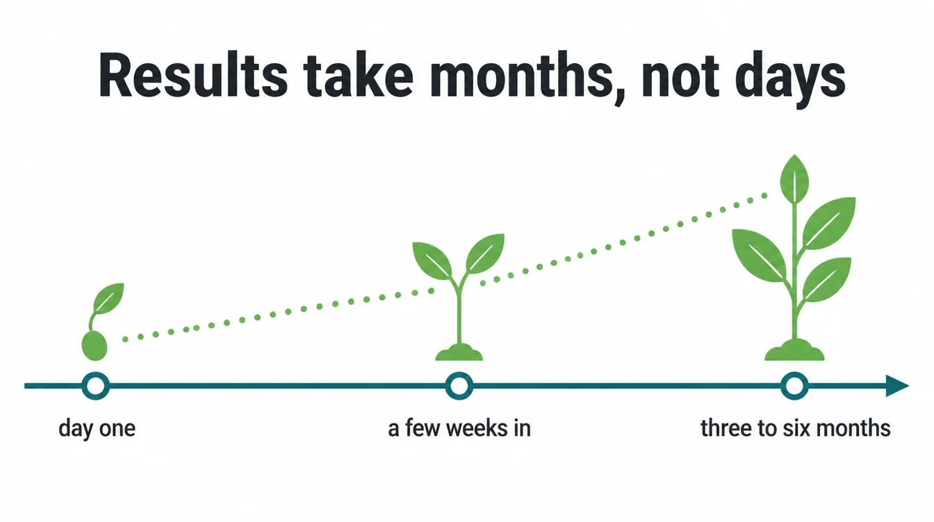 Timeline infographic showing SEO progress growing from day one to three to six months.