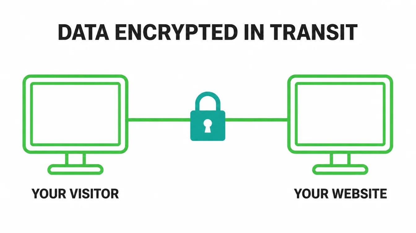 A diagram showing a visitor and a website connected by a line with a padlock, labeled data encrypted in transit.