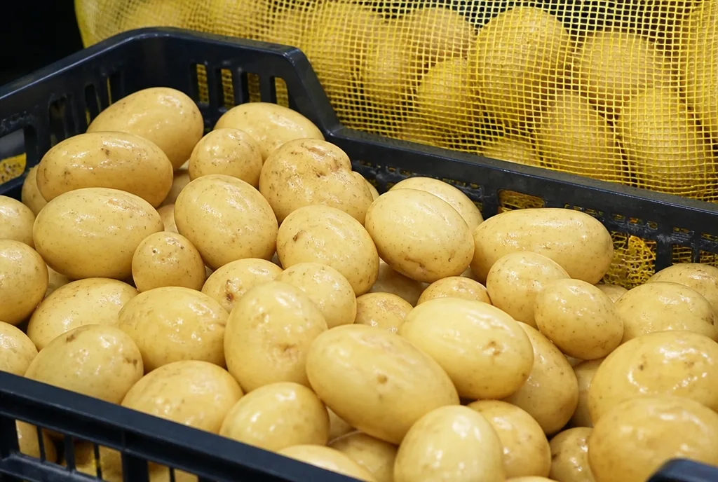 Washed China potatoes in a crate