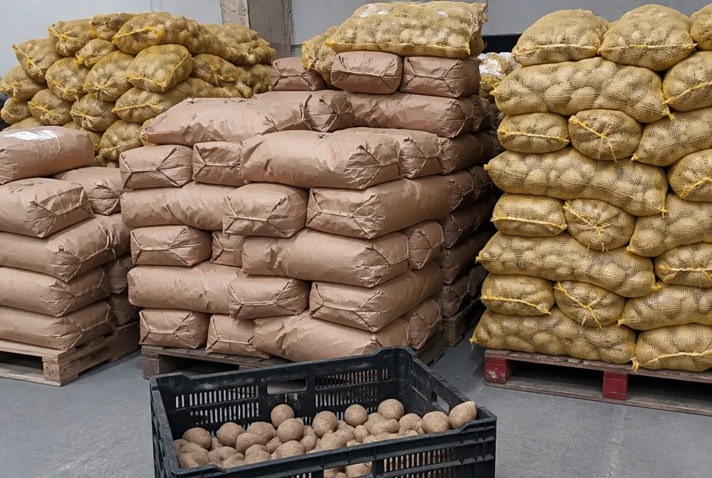 Sacks of potatoes stacked high with a crate in front
