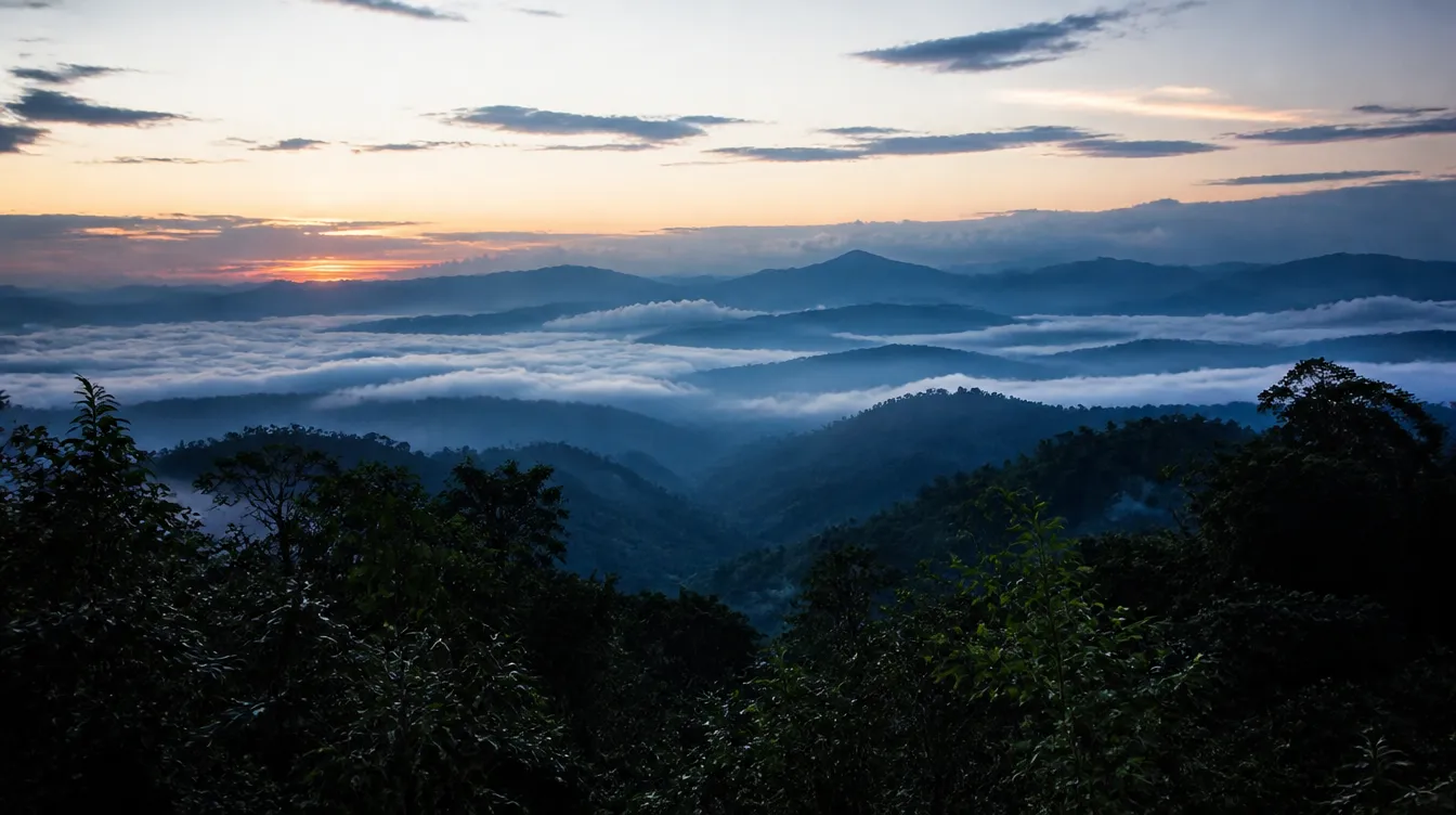 Misty rainforest ridges at dawn