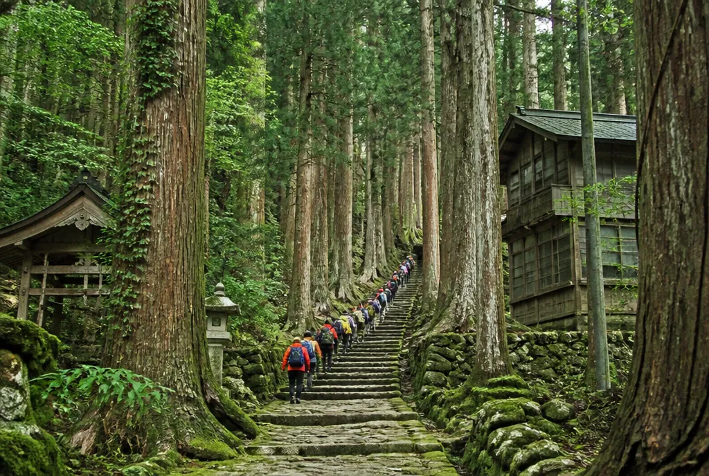 Kumano Kodo Pilgrimage + Koyasan Temple Stay