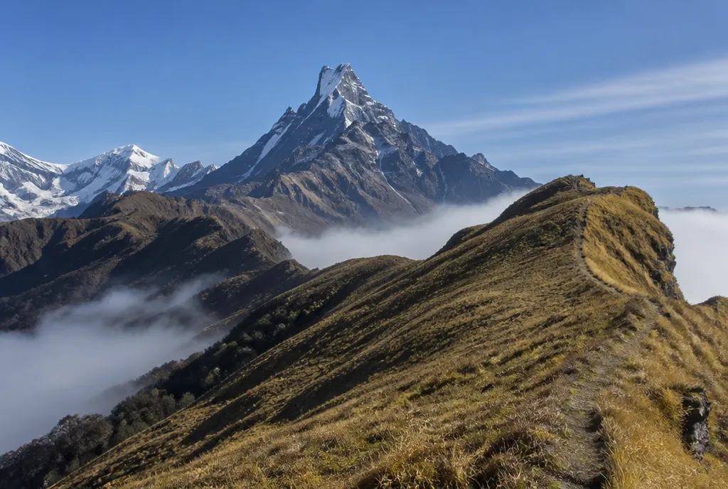 Mardi viewpoint