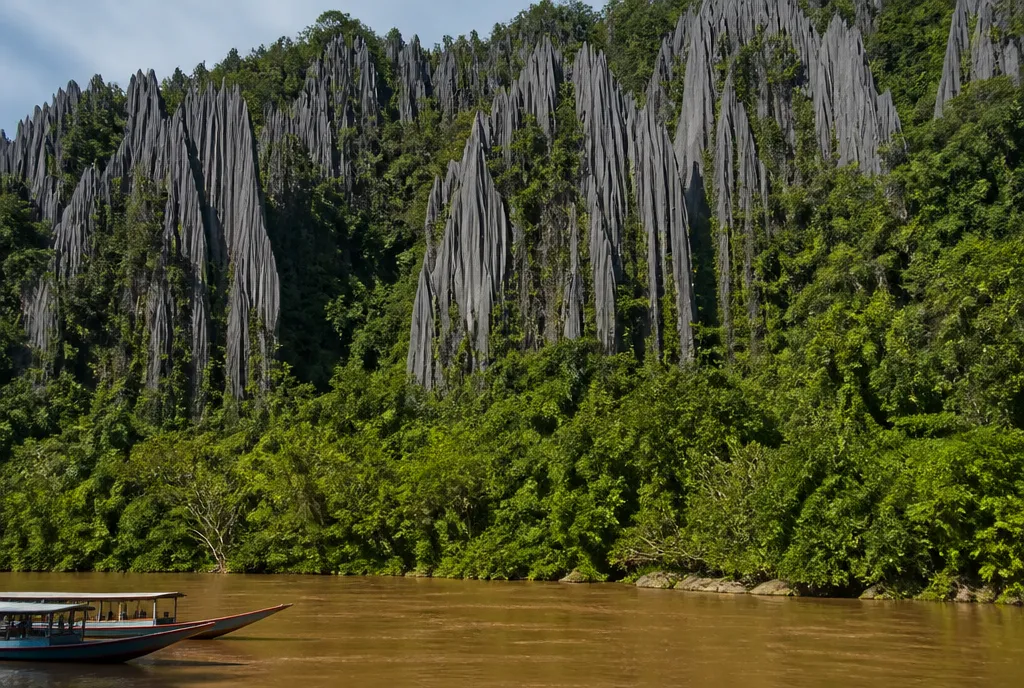 The limestone pinnacles