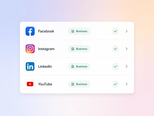 An account list showing the business as owner across every platform