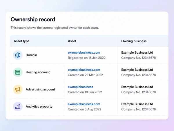 An ownership record listing domain, hosting, ad and analytics accounts under the business