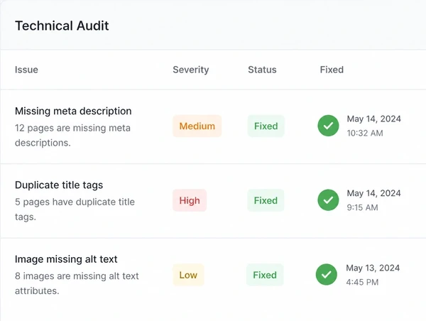 A technical audit with issues marked as fixed rather than only listed