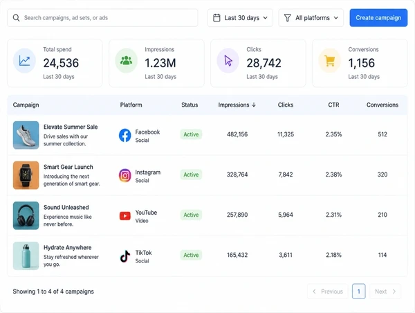 An advertising account overview showing search, social and video running together