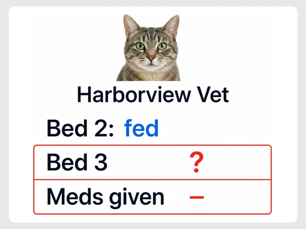 Harborview Vet handover sheet leaves Bed 3 and the medication record incomplete with a question mark and dash.