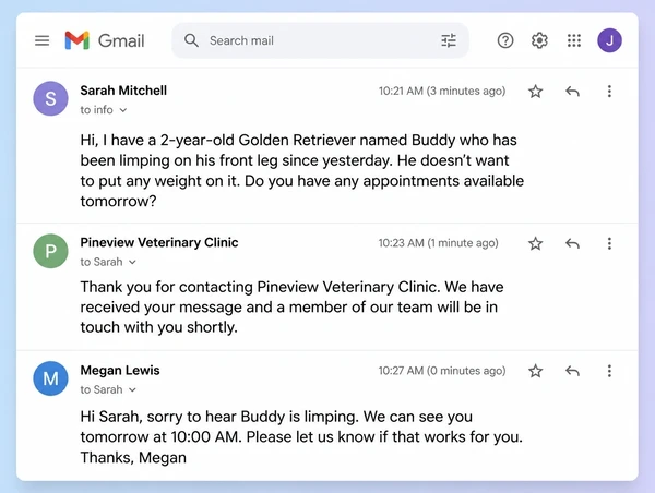 A Gmail thread for a veterinary practice where an enquiry is acknowledged two minutes after it arrives