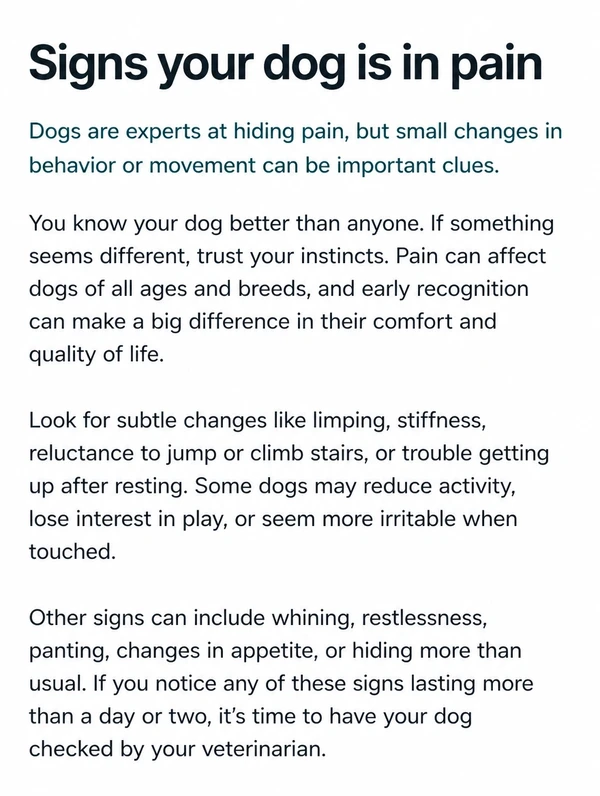 A veterinary article page headed Signs your dog is in pain with a standfirst and three paragraphs