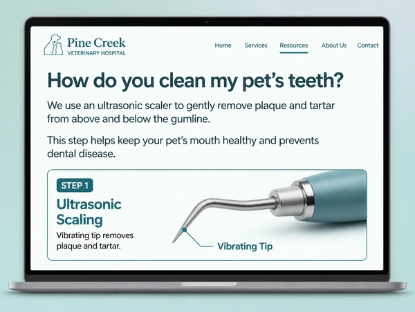 A published veterinary practice guide page answering one customer question with a simple diagram
