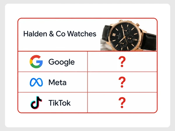 Halden & Co Watches has question marks for results across Google, Meta, and TikTok budget rows.