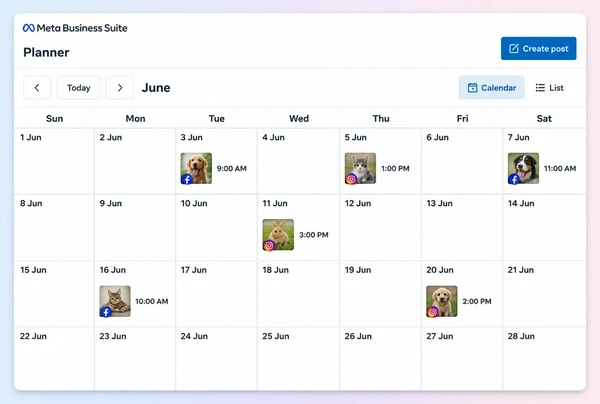 A Meta Business Suite Planner month with six scheduled posts for a veterinary practice