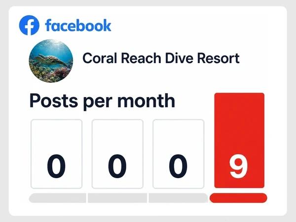 Coral Reach Dive Resort shows monthly Facebook post counts of zero, zero, zero, and nine.