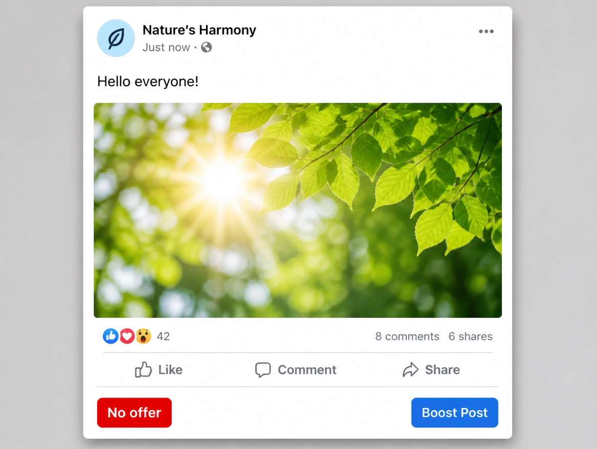 A boosted post with a plain caption and a red label reading no offer