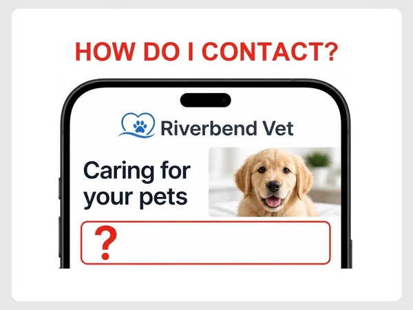 Riverbend Vet's phone landing page asks how to contact them above an empty contact area.