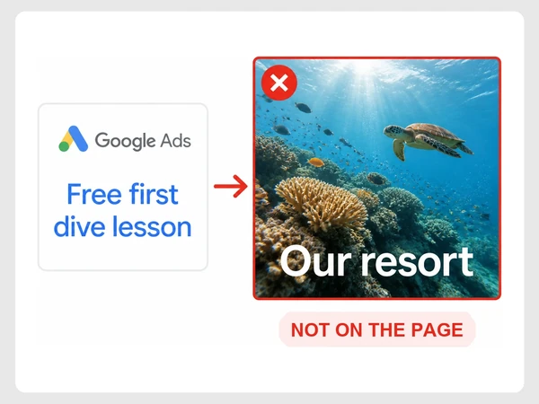 Coral Reach Dive Resort advertises a free first dive lesson but opens a page titled Our resort.