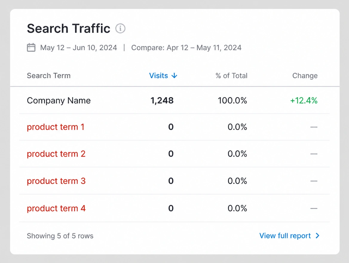 A traffic report where every visit comes from the company name
