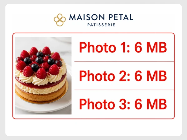 Maison Petal speed report lists three cake photos at 6 MB each inside a red outline.