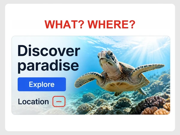 Coral Reach Dive Resort homepage says Discover paradise but leaves its offer and location unclear.