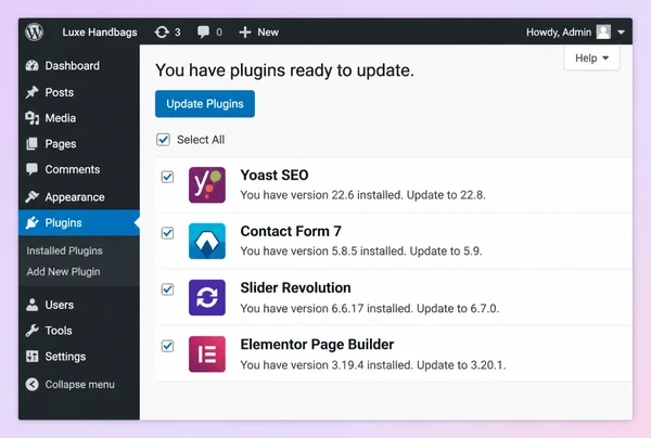 A WordPress updates screen for a handbag brand website with four plugins ticked for update