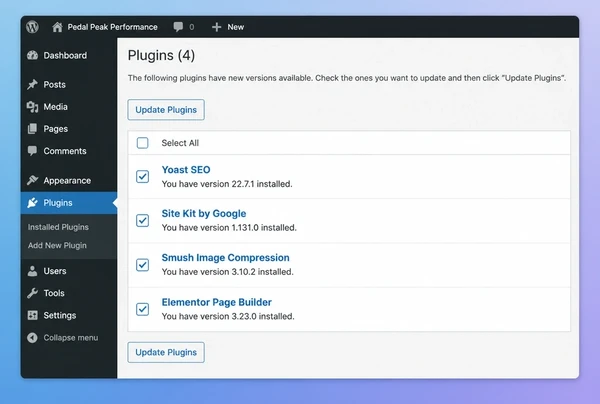 A WordPress updates screen for a performance cycling website with four plugins ticked for update