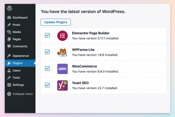 A WordPress updates screen for a wedding planner website with four plugins ticked for update