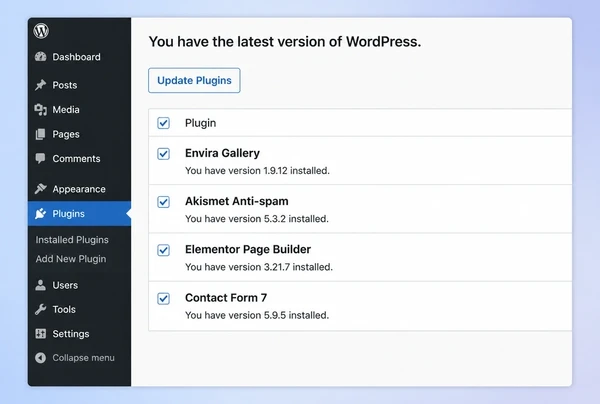 A WordPress updates screen for a bespoke tailor website with four plugins ticked for update