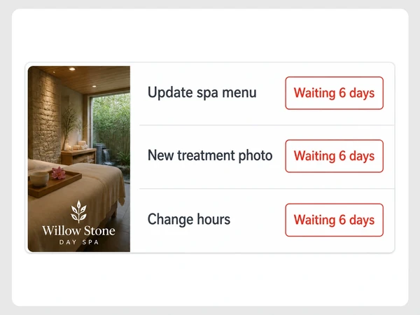 Willow Stone Day Spa tracker shows three website changes each waiting six days.