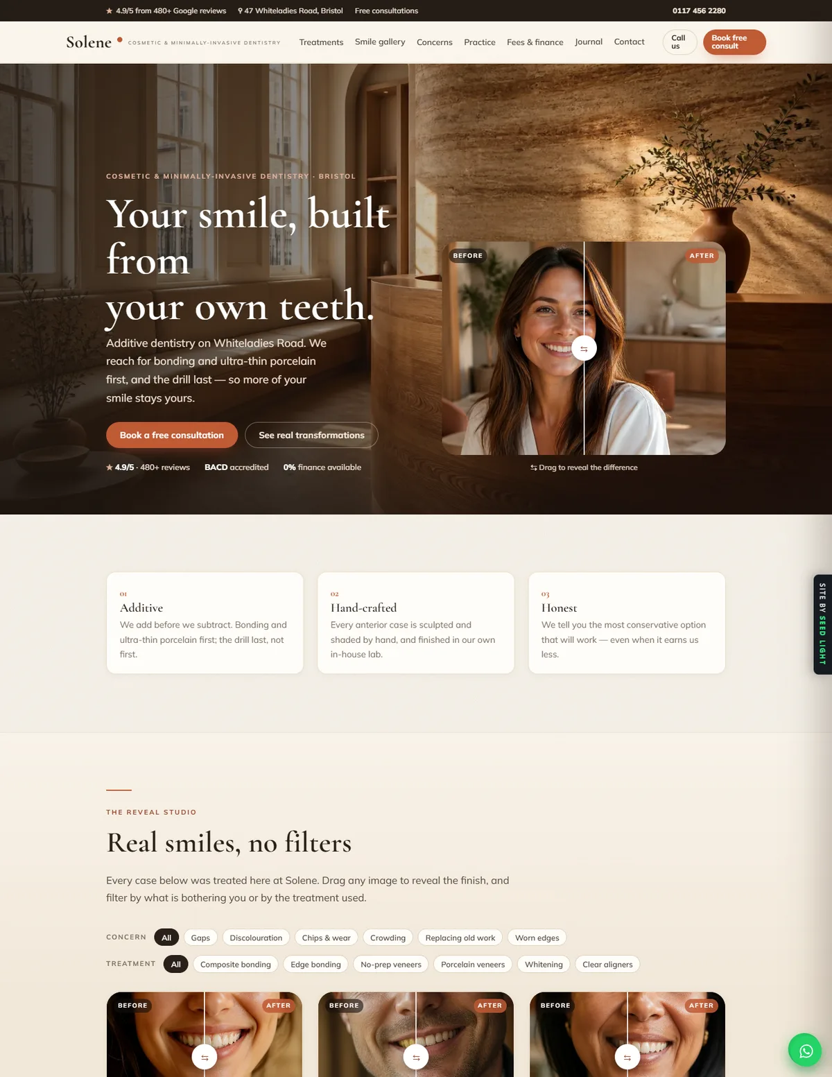 Solene website homepage design, Dental