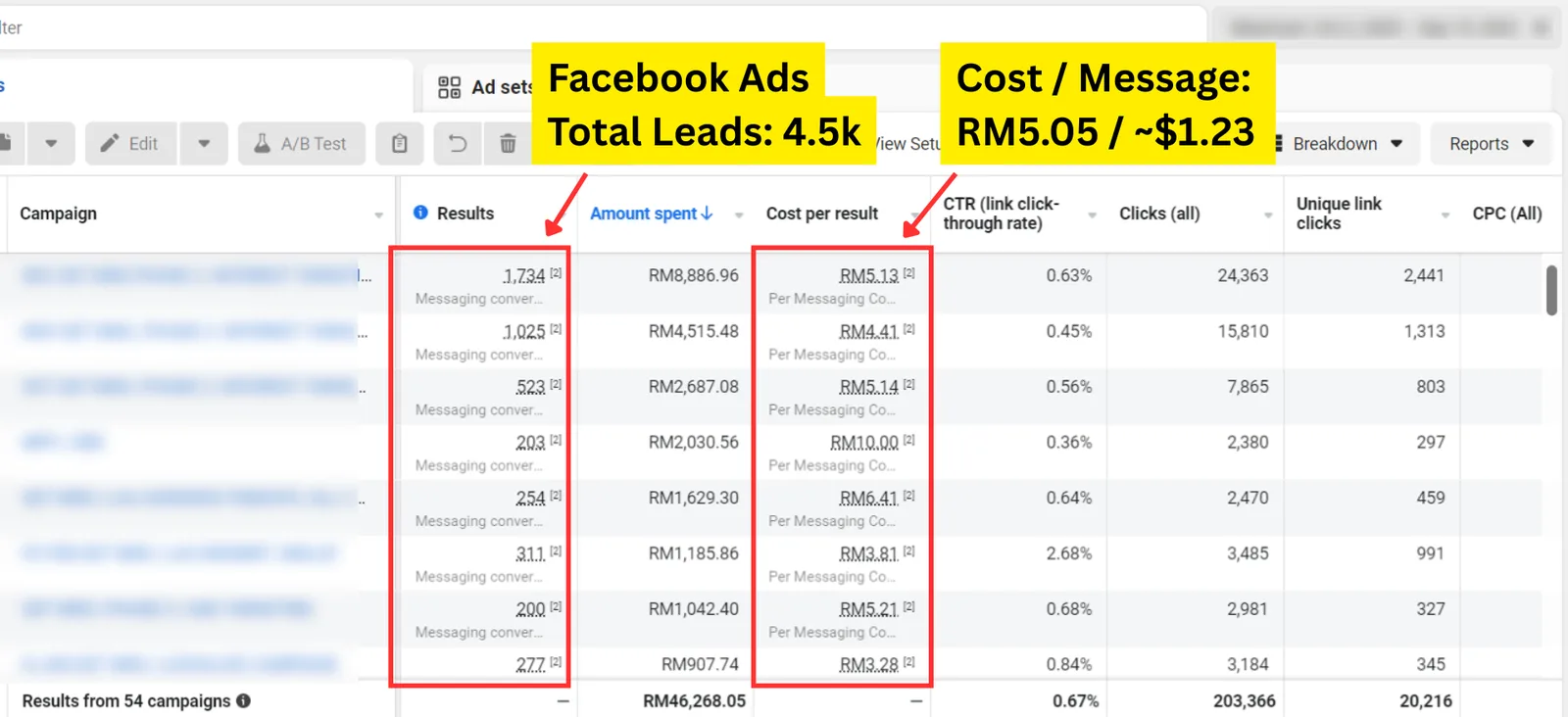 Meta Ads results screenshot from a client account