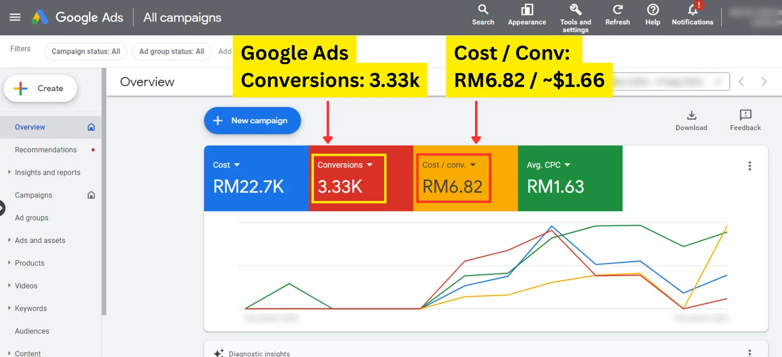 Google Ads performance screenshot from a client account