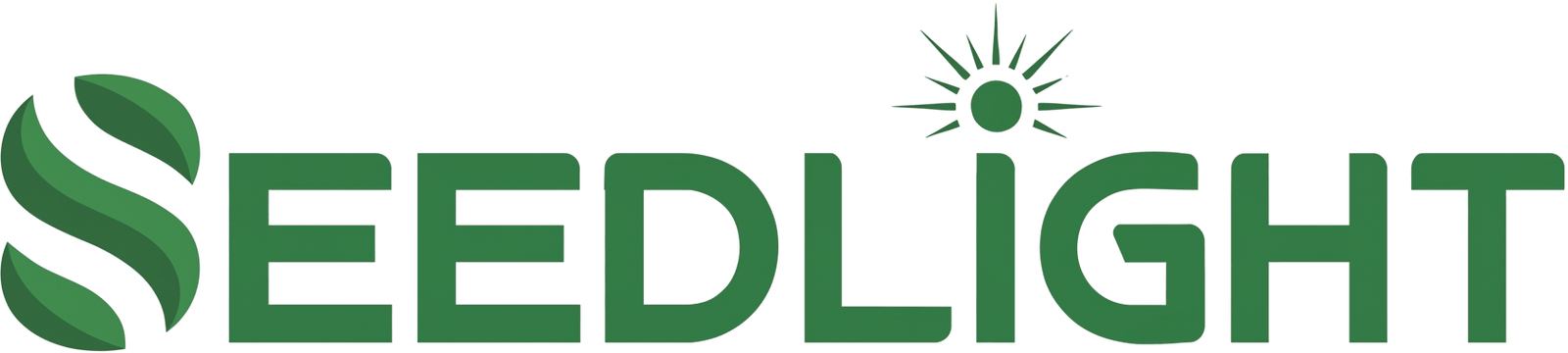 Digital Growth Agency | Seed Light